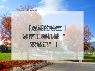 观潮的螃蟹丨湖南工程机械“双城记”