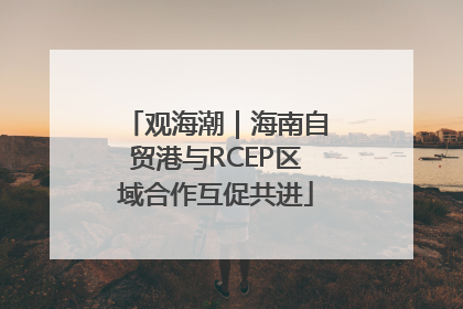 观海潮｜海南自贸港与RCEP区域合作互促共进