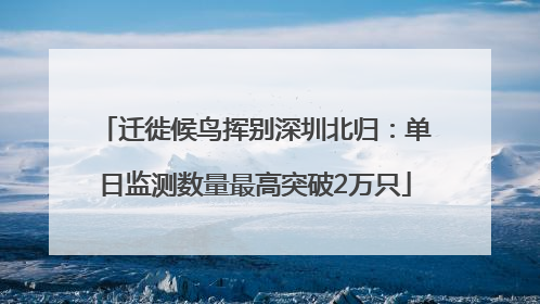 迁徙候鸟挥别深圳北归：单日监测数量最高突破2万只