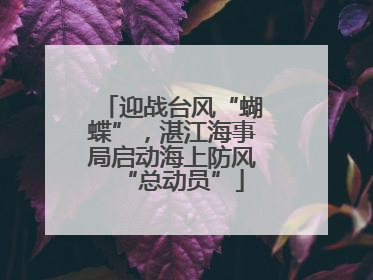 迎战台风“蝴蝶”，湛江海事局启动海上防风“总动员”
