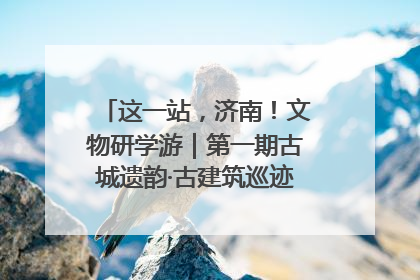 这一站，济南！文物研学游｜第一期古城遗韵·古建筑巡迹之旅圆满结束