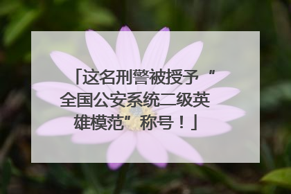 这名刑警被授予“全国公安系统二级英雄模范”称号！