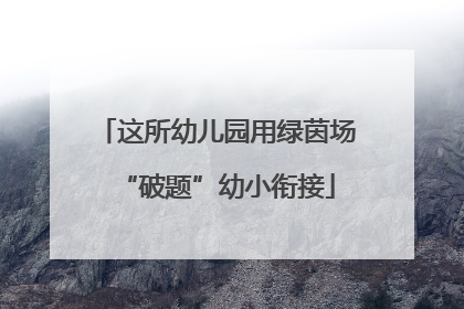 这所幼儿园用绿茵场“破题”幼小衔接