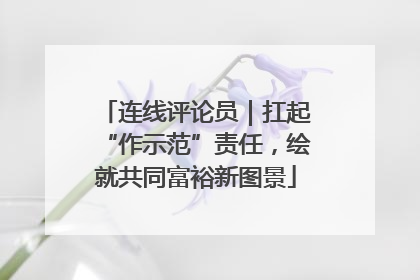 连线评论员｜扛起“作示范”责任，绘就共同富裕新图景