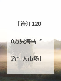 连江1200万只海马“游”入市场