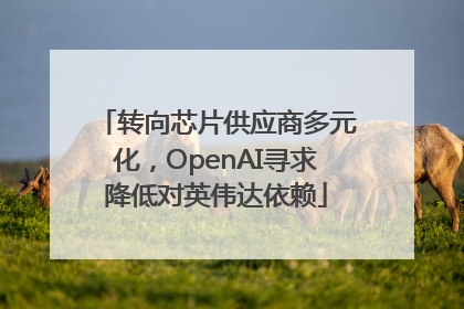 转向芯片供应商多元化，OpenAI寻求降低对英伟达依赖