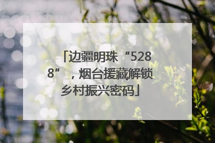 边疆明珠“5288”，烟台援藏解锁乡村振兴密码