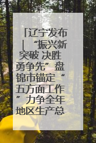 辽宁发布｜“振兴新突破 决胜勇争先”盘锦市锚定“五方面工作”力争全年地区生产总值增长5.5%左右