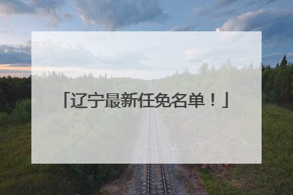 辽宁最新任免名单！