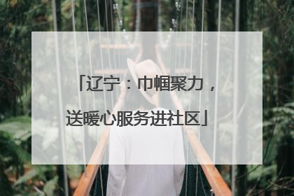 辽宁：巾帼聚力，送暖心服务进社区