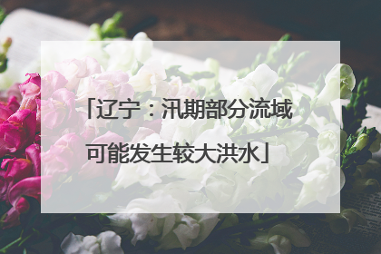 辽宁：汛期部分流域可能发生较大洪水