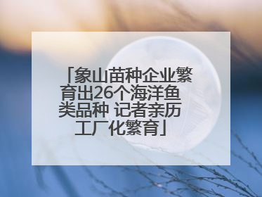 象山苗种企业繁育出26个海洋鱼类品种 记者亲历工厂化繁育