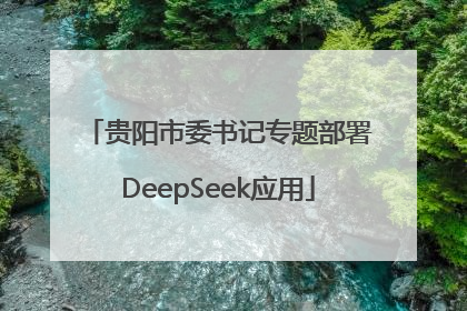 贵阳市委书记专题部署DeepSeek应用