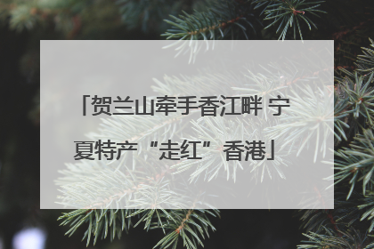 贺兰山牵手香江畔 宁夏特产“走红”香港