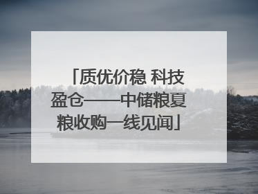 质优价稳 科技盈仓——中储粮夏粮收购一线见闻