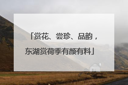 赏花、尝珍、品韵，东湖赏荷季有颜有料