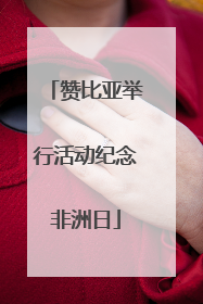 赞比亚举行活动纪念非洲日