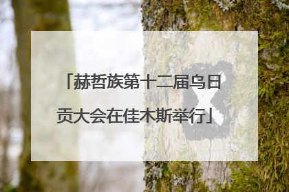赫哲族第十二届乌日贡大会在佳木斯举行