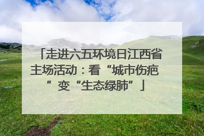 走进六五环境日江西省主场活动：看“城市伤疤”变“生态绿肺”