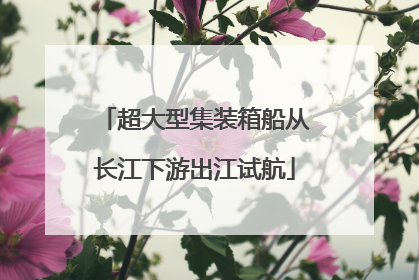 超大型集装箱船从长江下游出江试航