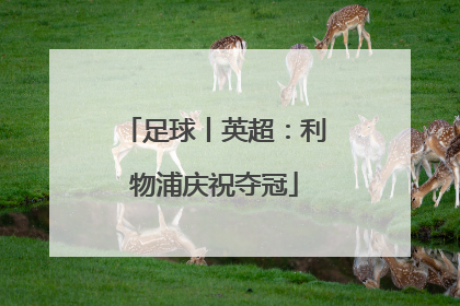 足球丨英超：利物浦庆祝夺冠