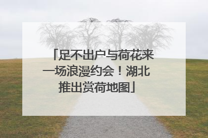 足不出户与荷花来一场浪漫约会！湖北推出赏荷地图