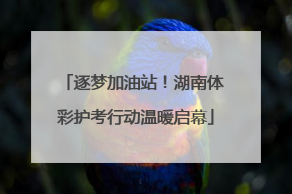 逐梦加油站！湖南体彩护考行动温暖启幕