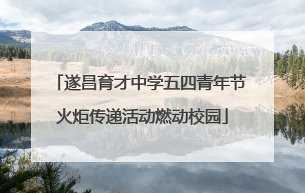 遂昌育才中学五四青年节火炬传递活动燃动校园