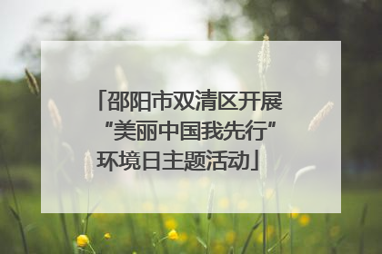 邵阳市双清区开展“美丽中国我先行”环境日主题活动