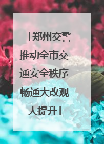 郑州交警推动全市交通安全秩序畅通大改观大提升
