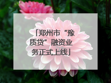 郑州市“豫质贷”融资业务正式上线