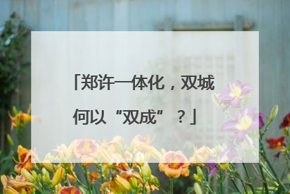 郑许一体化，双城何以“双成”？