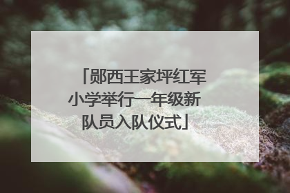 郧西王家坪红军小学举行一年级新队员入队仪式