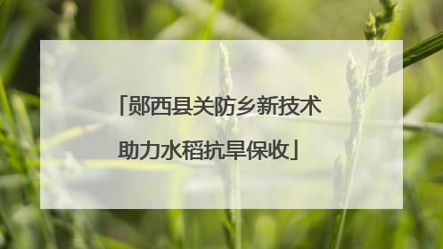 郧西县关防乡新技术助力水稻抗旱保收