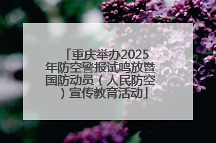 重庆举办2025年防空警报试鸣放暨国防动员（人民防空）宣传教育活动