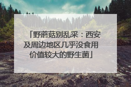 野蘑菇别乱采：西安及周边地区几乎没食用价值较大的野生菌