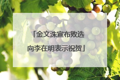 金文洙宣布败选 向李在明表示祝贺