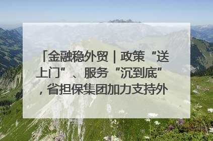 金融稳外贸｜政策“送上门”、服务“沉到底”，省担保集团加力支持外经贸高质量发展