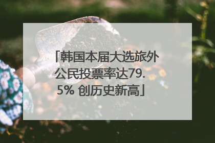 韩国本届大选旅外公民投票率达79.5% 创历史新高