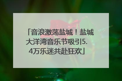 音浪激荡盐城！盐城大洋湾音乐节吸引5.4万乐迷共赴狂欢
