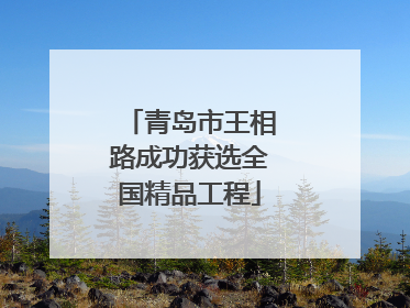 青岛市王相路成功获选全国精品工程