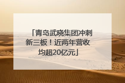 青岛武晓集团冲刺新三板！近两年营收均超20亿元