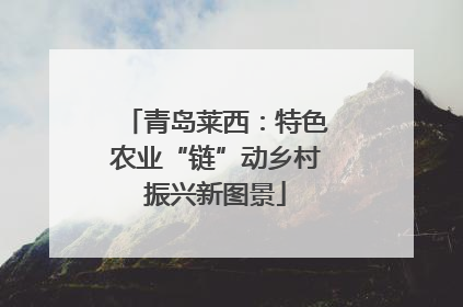 青岛莱西：特色农业“链”动乡村振兴新图景