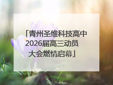 青州圣维科技高中2026届高三动员大会燃情启幕
