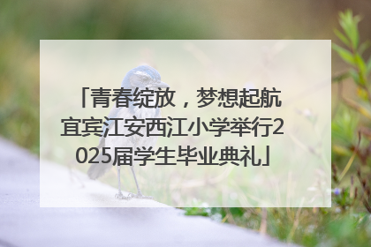 青春绽放，梦想起航 宜宾江安西江小学举行2025届学生毕业典礼