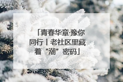 青春华章·豫你同行丨老社区里藏着“潮”密码