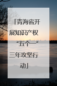 青海省开展知识产权“五个一”三年攻坚行动