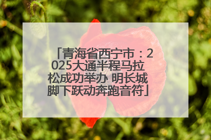 青海省西宁市：2025大通半程马拉松成功举办 明长城脚下跃动奔跑音符