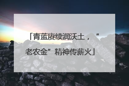 青蓝赓续润沃土，“老农金”精神传薪火