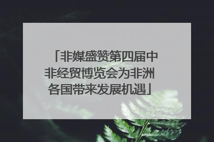 非媒盛赞第四届中非经贸博览会为非洲各国带来发展机遇
